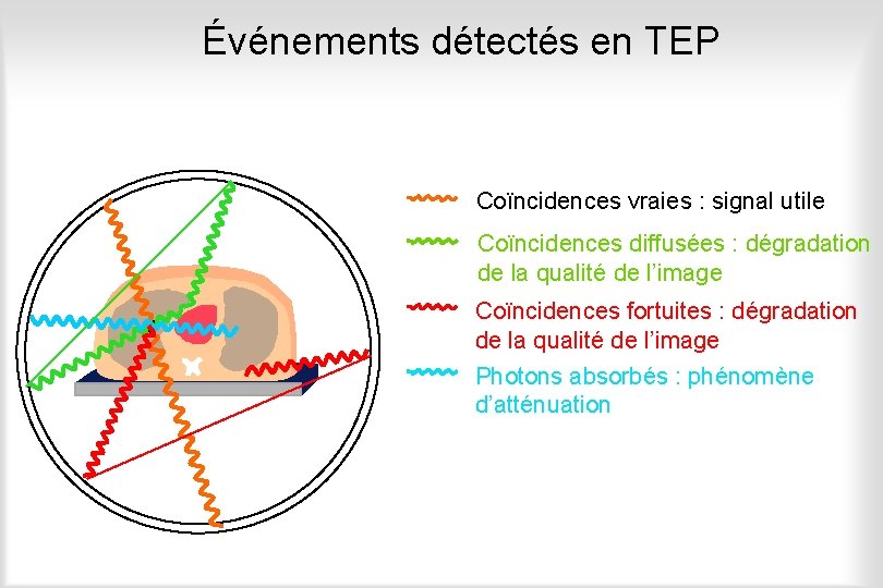 Événements détectés en TEP Coïncidences vraies : signal utile Coïncidences diffusées : dégradation de