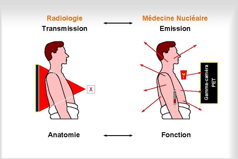 g X Anatomie Fonction PET Médecine Nucléaire Emission Gamma-caméra Radiologie Transmission 