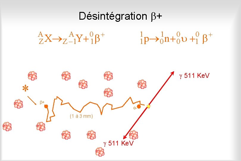 Désintégration + A A 0 Z X Z 1 Y 1 1 1 0
