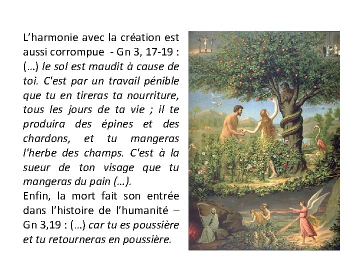 L’harmonie avec la création est aussi corrompue - Gn 3, 17 -19 : (…)