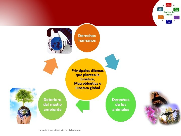 Derechos humanos Principales dilemas que plantea la bioética, Macrobioética o Bioética global Deterioro del Derechos humanos Principales dilemas que plantea la bioética, Macrobioética o Bioética global Deterioro del