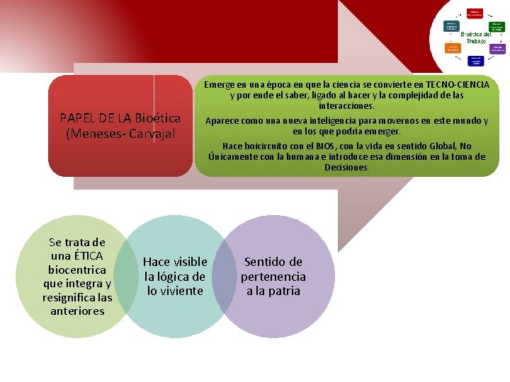 PAPEL DE LA Bioética (Meneses- Carvajal Se trata de una ÉTICA biocentrica que integra PAPEL DE LA Bioética (Meneses- Carvajal Se trata de una ÉTICA biocentrica que integra