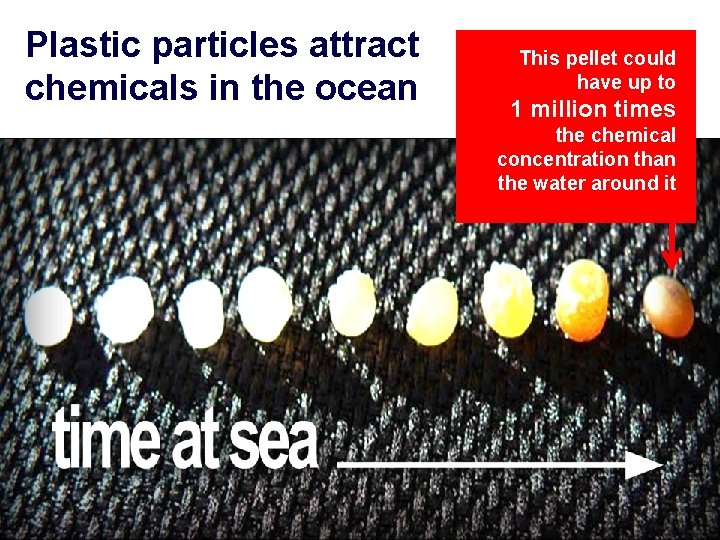Plastic particles attract chemicals in the ocean This pellet could have up to 1