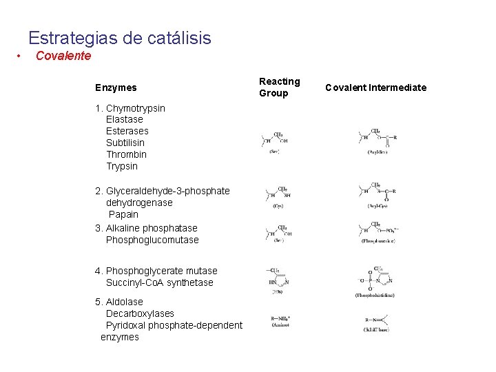 Estrategias de catálisis • Covalente Enzymes 1. Chymotrypsin Elastase Esterases Subtilisin Thrombin Trypsin 2.