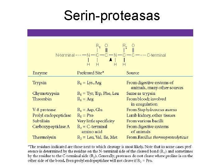 Serin-proteasas 