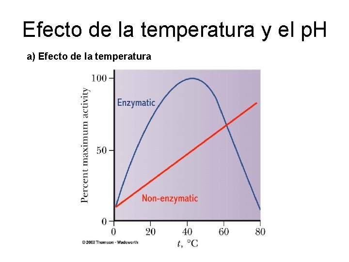 Efecto de la temperatura y el p. H a) Efecto de la temperatura 