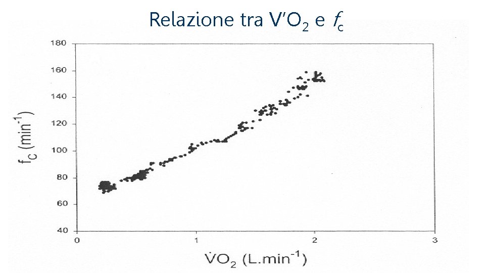 Relazione tra V’O 2 e fc 