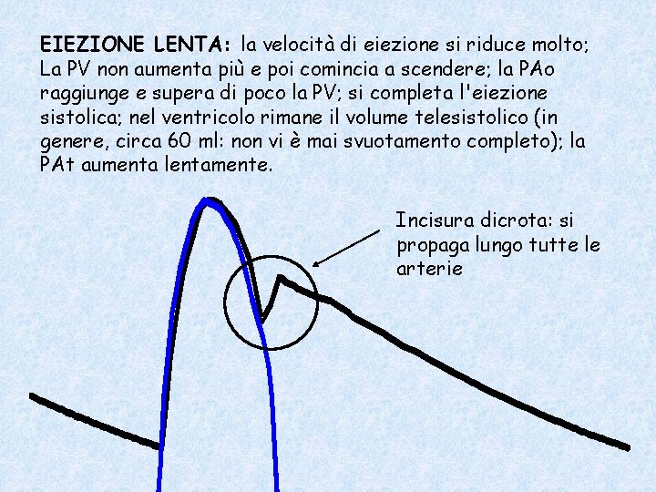 EIEZIONE LENTA: la velocità di eiezione si riduce molto; La PV non aumenta più