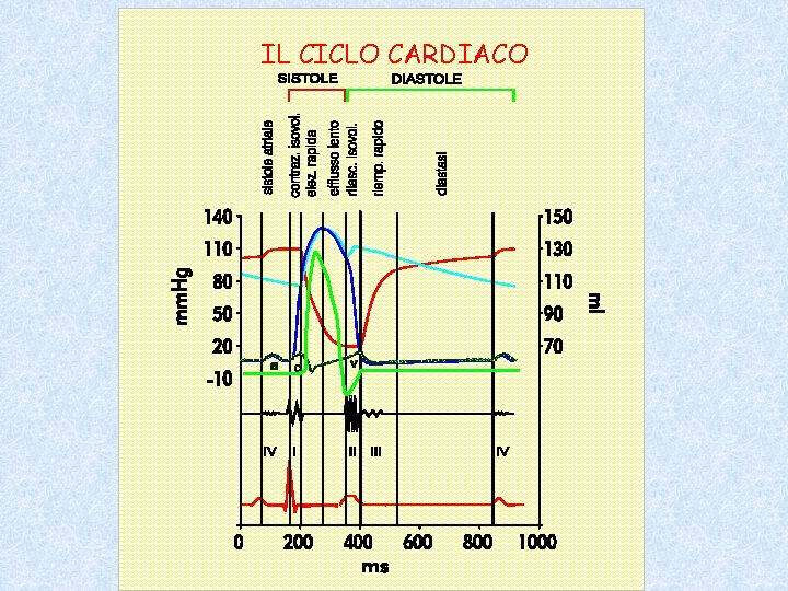 IL CICLO CARDIACO 