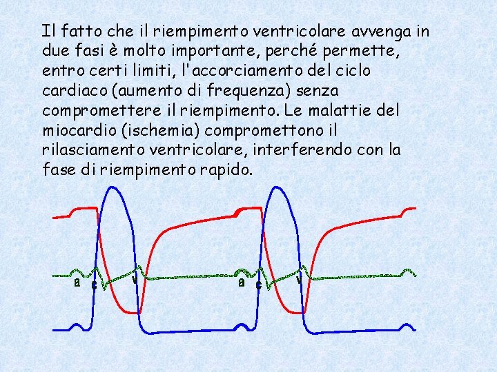 Il fatto che il riempimento ventricolare avvenga in due fasi è molto importante, perché