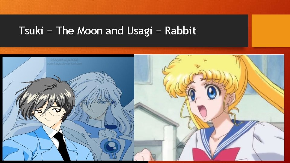 Tsuki = The Moon and Usagi = Rabbit 