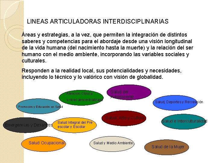 LINEAS ARTICULADORAS INTERDISCIPLINARIAS Áreas y estrategias, a la vez, que permiten la integración de