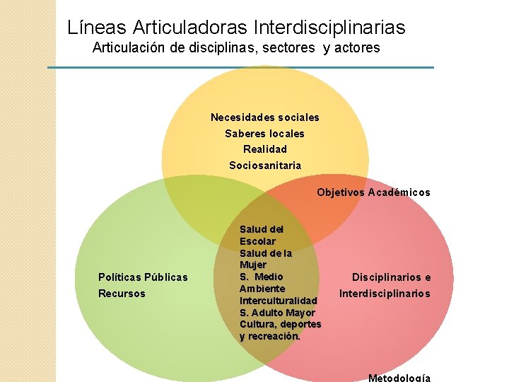 Líneas Articuladoras Interdisciplinarias Articulación de disciplinas, sectores y actores Necesidades sociales Saberes locales Realidad