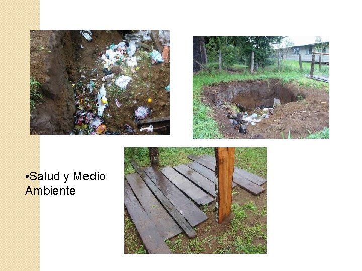  • Salud y Medio Ambiente 