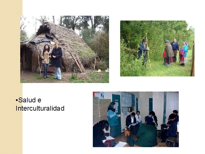  • Salud e Interculturalidad 