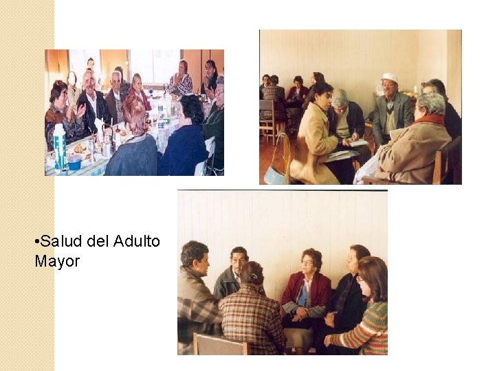  • Salud del Adulto Mayor 