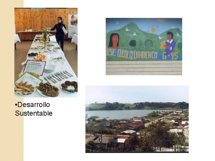  • Desarrollo Sustentable 