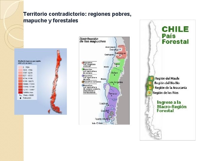 Territorio contradictorio: regiones pobres, mapuche y forestales 