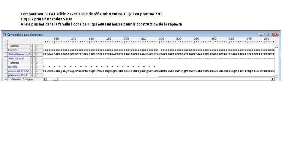 Comparaison BRCA 1 allèle 2 avec allèle de réf = substitution C → T