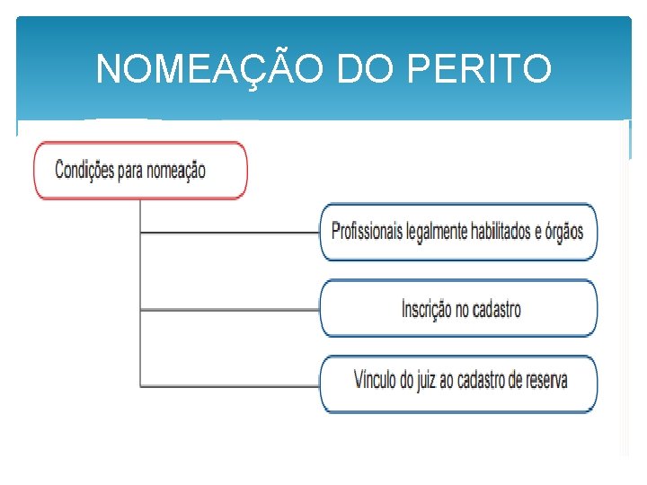 NOMEAÇÃO DO PERITO 