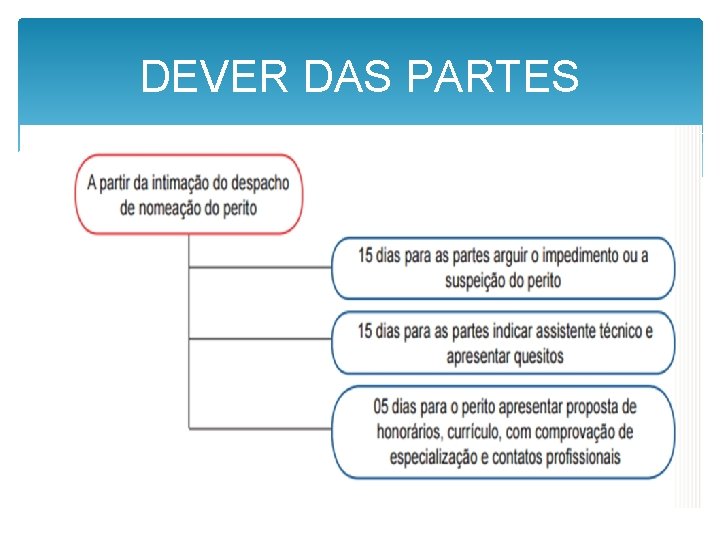 DEVER DAS PARTES 