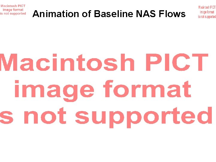 Animation of Baseline NAS Flows 