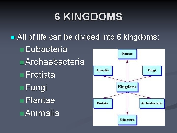 6 KINGDOMS n All of life can be divided into 6 kingdoms: n Eubacteria