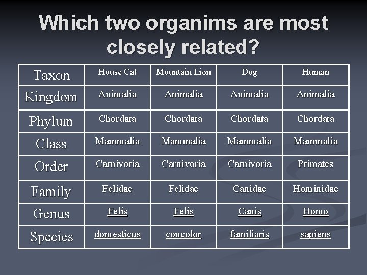 Which two organims are most closely related? Taxon Kingdom House Cat Mountain Lion Dog