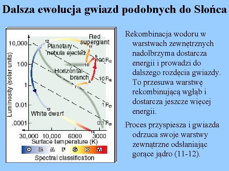 Dalsza ewolucja gwiazd podobnych do Słońca Rekombinacja wodoru w warstwach zewnętrznych nadolbrzyma dostarcza energii