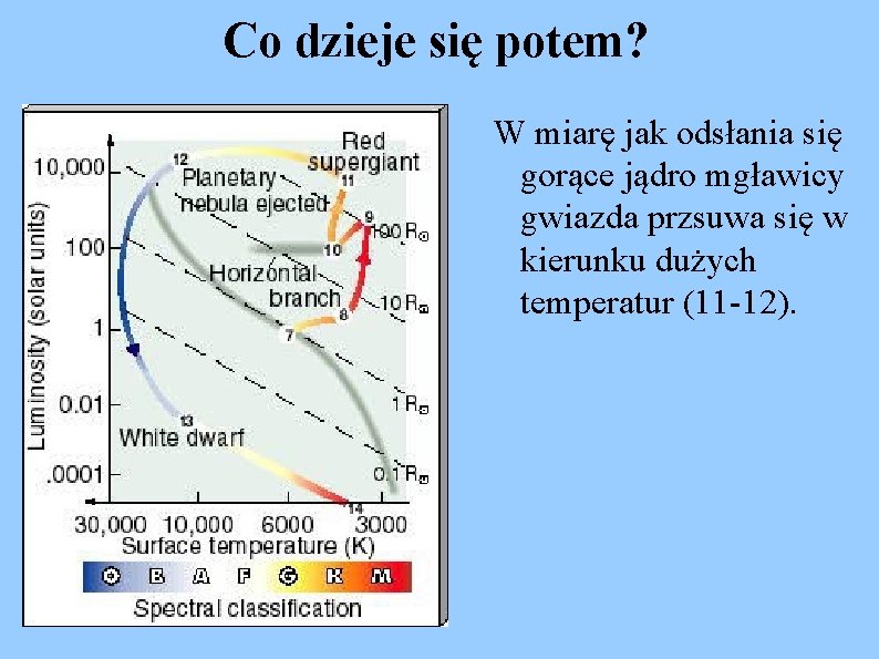 Co dzieje się potem? W miarę jak odsłania się gorące jądro mgławicy gwiazda przsuwa