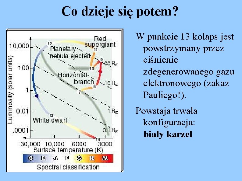 Co dzieje się potem? W punkcie 13 kolaps jest powstrzymany przez ciśnienie zdegenerowanego gazu