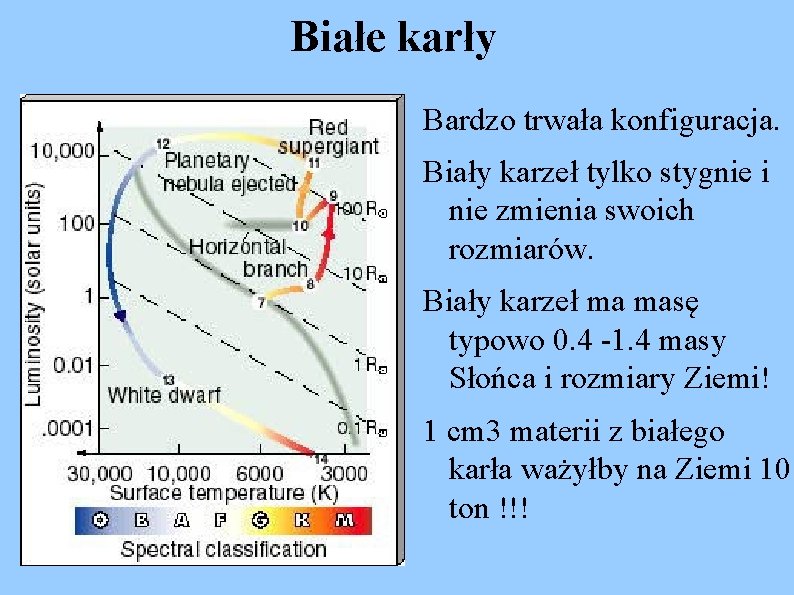 Białe karły Bardzo trwała konfiguracja. Biały karzeł tylko stygnie i nie zmienia swoich rozmiarów.