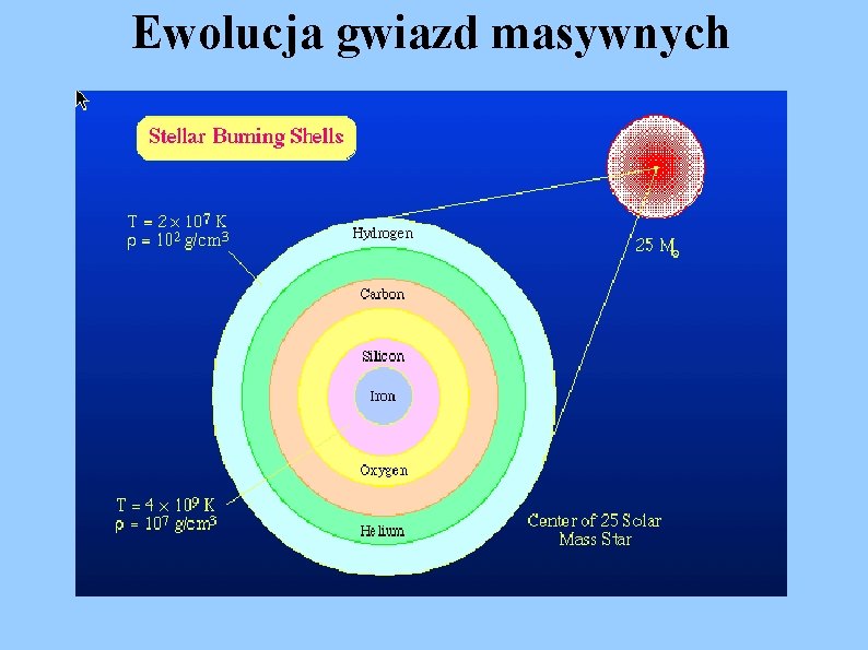 Ewolucja gwiazd masywnych 