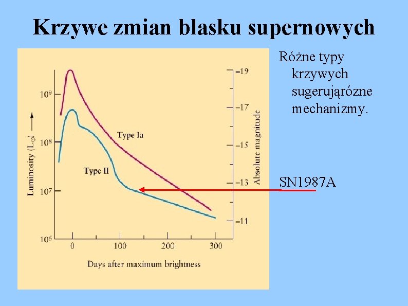 Krzywe zmian blasku supernowych Różne typy krzywych sugerująrózne mechanizmy. SN 1987 A 