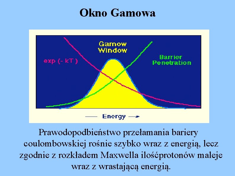 Okno Gamowa Prawodopodbieństwo przełamania bariery coulombowskiej rośnie szybko wraz z energią, lecz zgodnie z