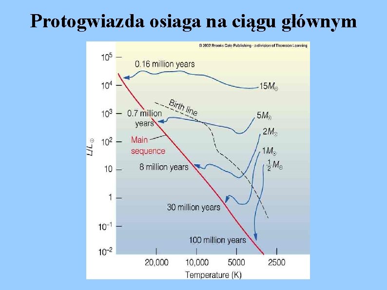 Protogwiazda osiaga na ciągu głównym 