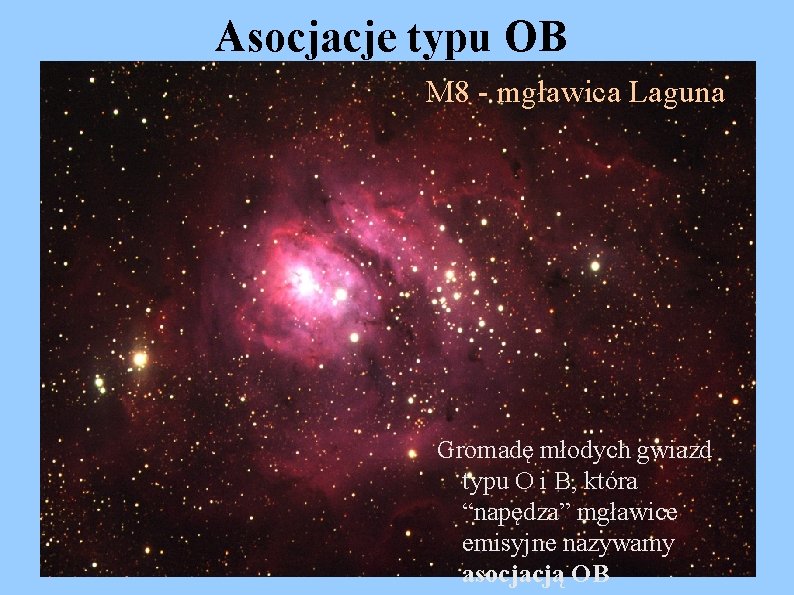 Asocjacje typu OB M 8 - mgławica Laguna Gromadę młodych gwiazd typu O i