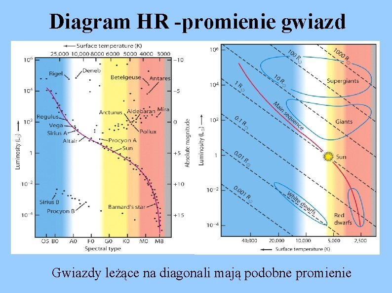 Diagram HR -promienie gwiazd Gwiazdy leżące na diagonali mają podobne promienie 