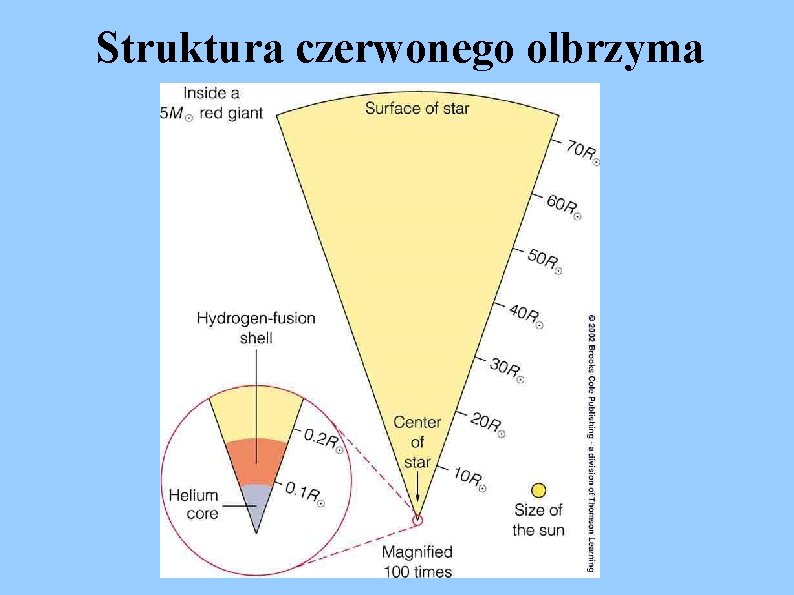 Struktura czerwonego olbrzyma 