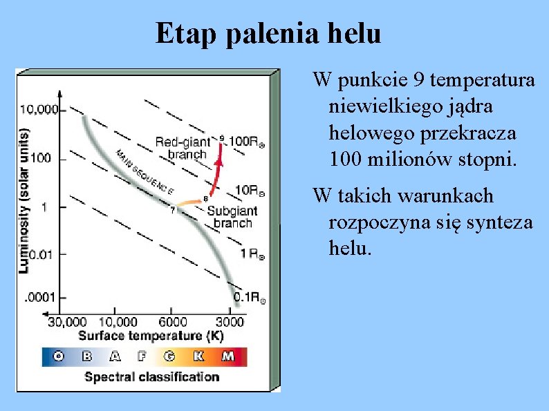 Etap palenia helu W punkcie 9 temperatura niewielkiego jądra helowego przekracza 100 milionów stopni.