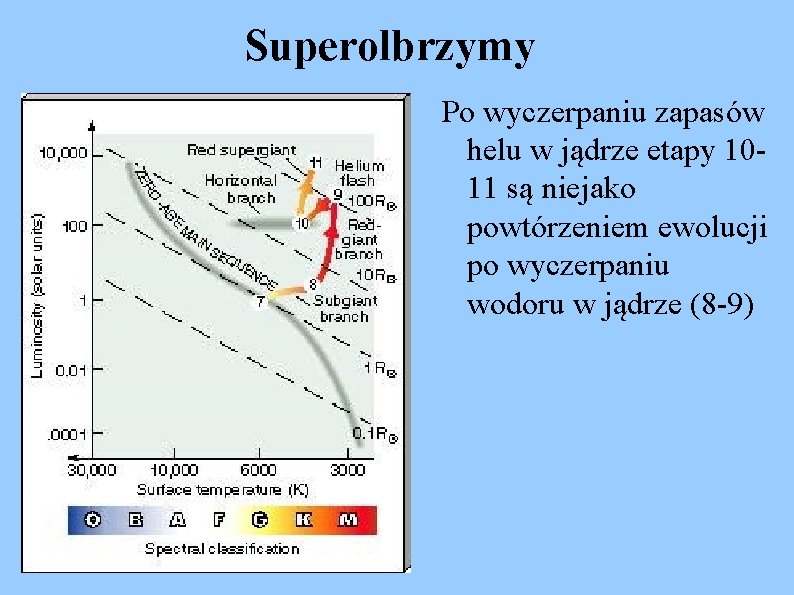 Superolbrzymy Po wyczerpaniu zapasów helu w jądrze etapy 1011 są niejako powtórzeniem ewolucji po