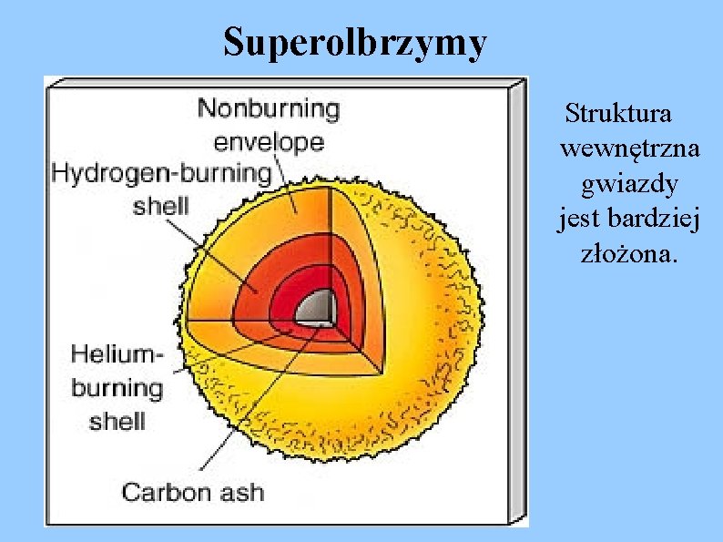Superolbrzymy Struktura wewnętrzna gwiazdy jest bardziej złożona. 