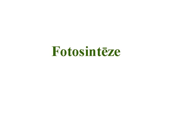 Fotosintēze 