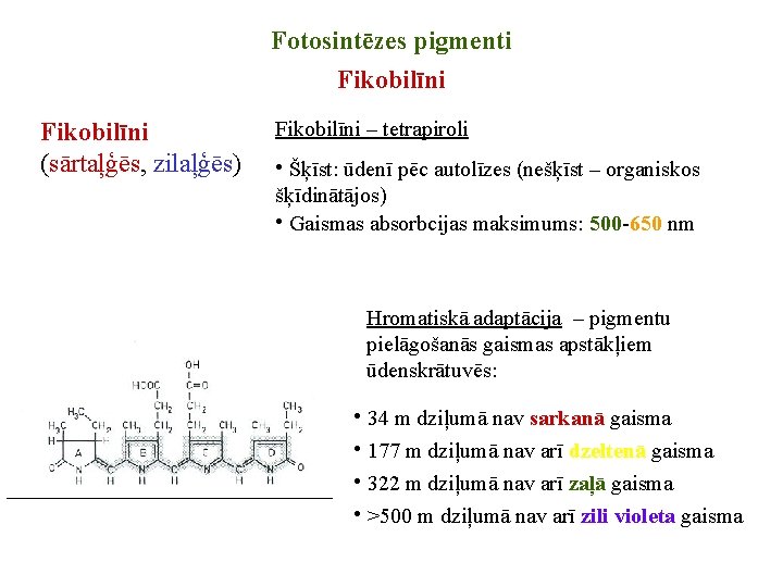 Fotosintēzes pigmenti Fikobilīni (sārtaļģēs, zilaļģēs) Fikobilīni – tetrapiroli • Šķīst: ūdenī pēc autolīzes (nešķīst
