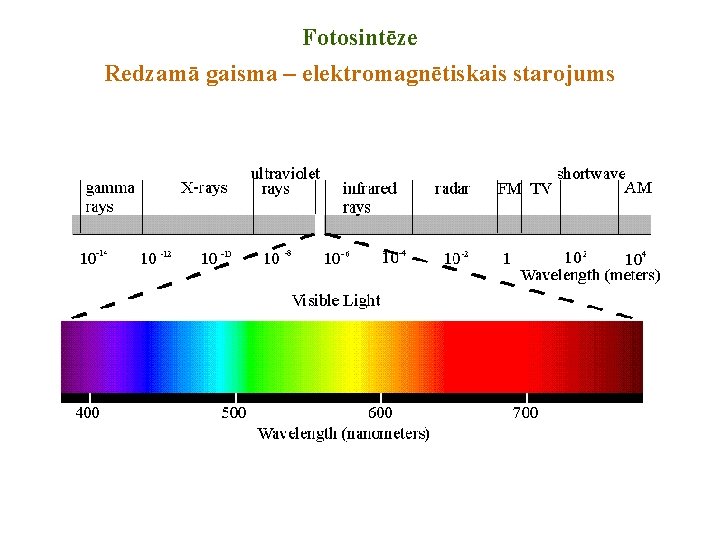 Fotosintēze Redzamā gaisma – elektromagnētiskais starojums 