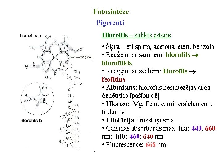 Fotosintēze Pigmenti Hlorofils – salikts esteris • Šķīst – etilspirtā, acetonā, ēterī, benzolā •