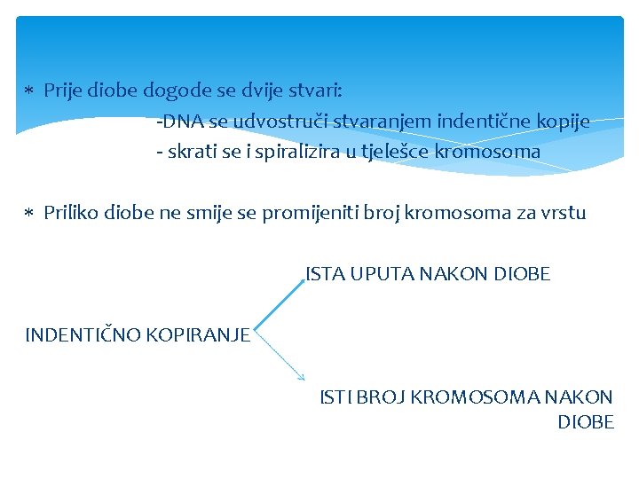  Prije diobe dogode se dvije stvari: -DNA se udvostruči stvaranjem indentične kopije -