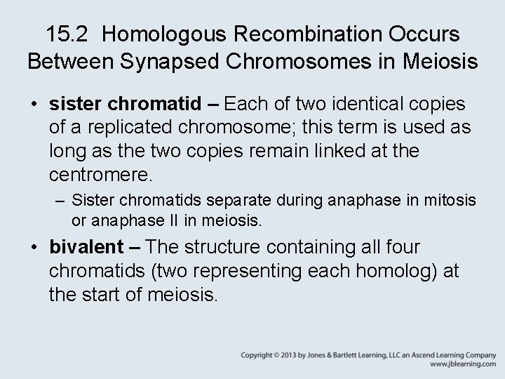 15. 2 Homologous Recombination Occurs Between Synapsed Chromosomes in Meiosis • sister chromatid –