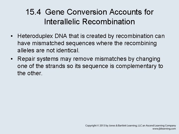 15. 4 Gene Conversion Accounts for Interallelic Recombination • Heteroduplex DNA that is created