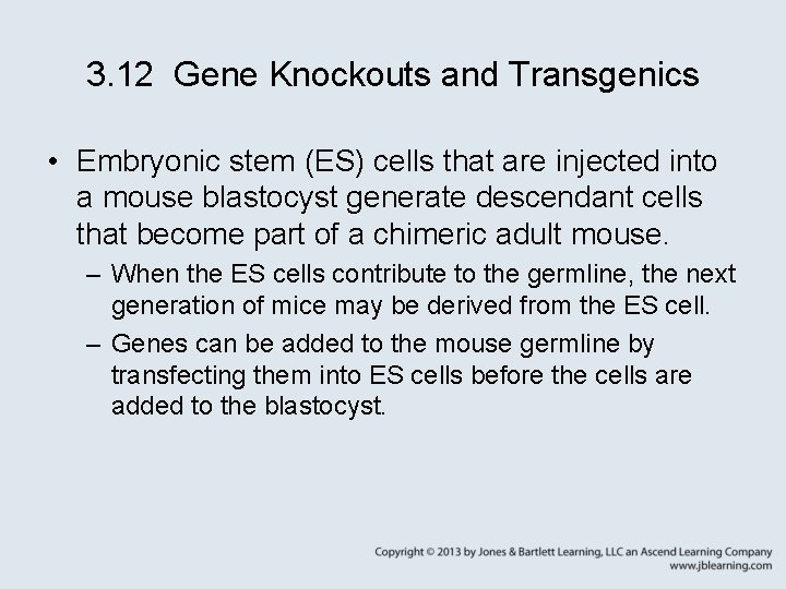 3. 12 Gene Knockouts and Transgenics • Embryonic stem (ES) cells that are injected